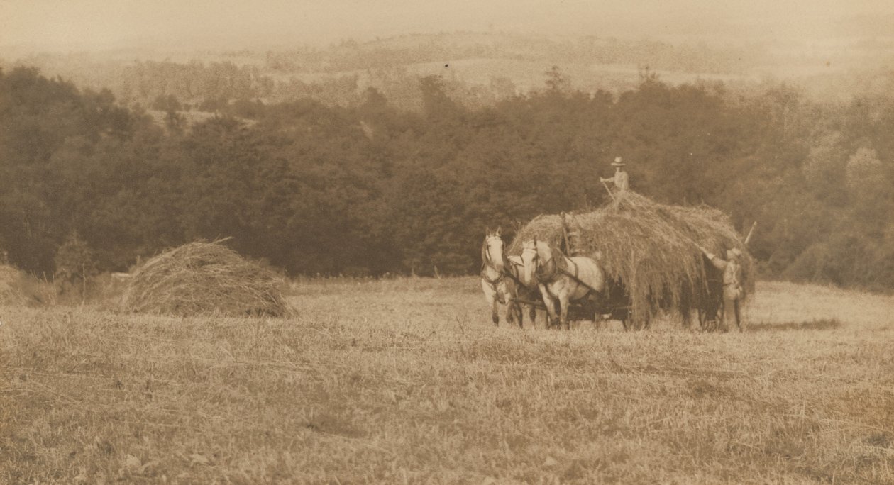 Nakládání sena,1890-1900 (foto) od John G. Bullock