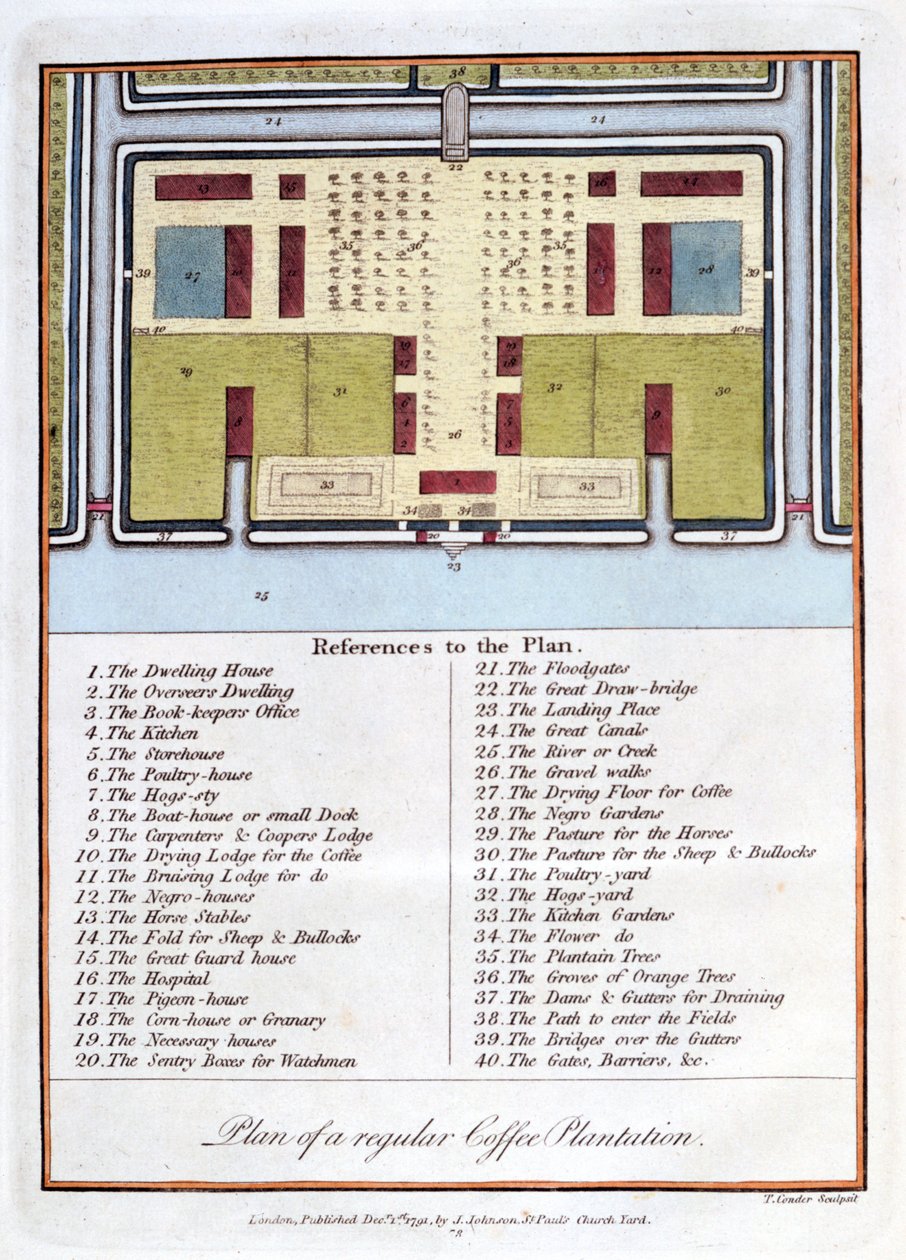 Plán pravidelné kávové plantáže, 1813 od John Gabriel Stedman