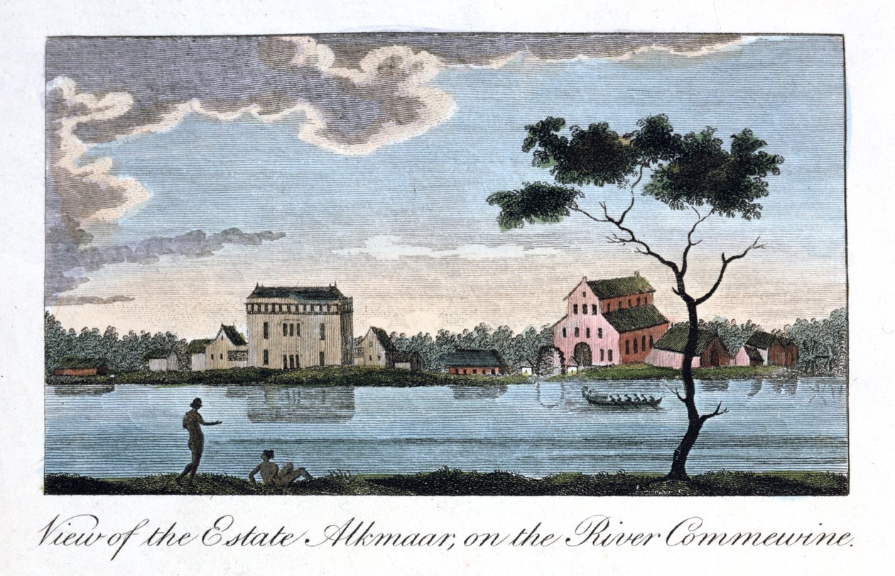 Pohled na panství Alkmaar, na řece Commewine, 1813 od John Gabriel Stedman