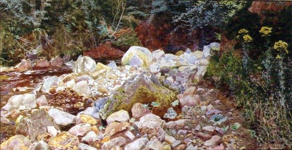 Rocky Stream (akvarel na papíře) od John George Sowerby