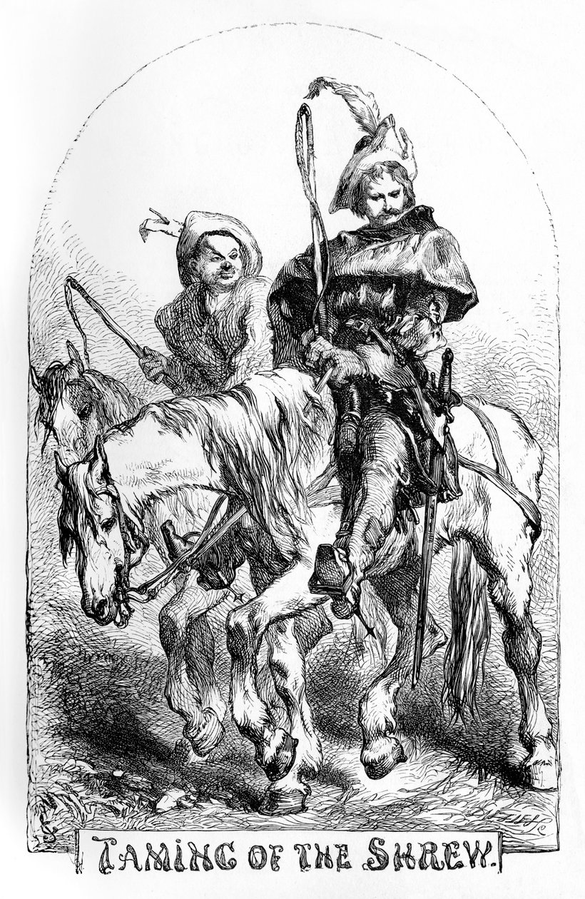 Zkrocení zlé ženy od John Gilbert