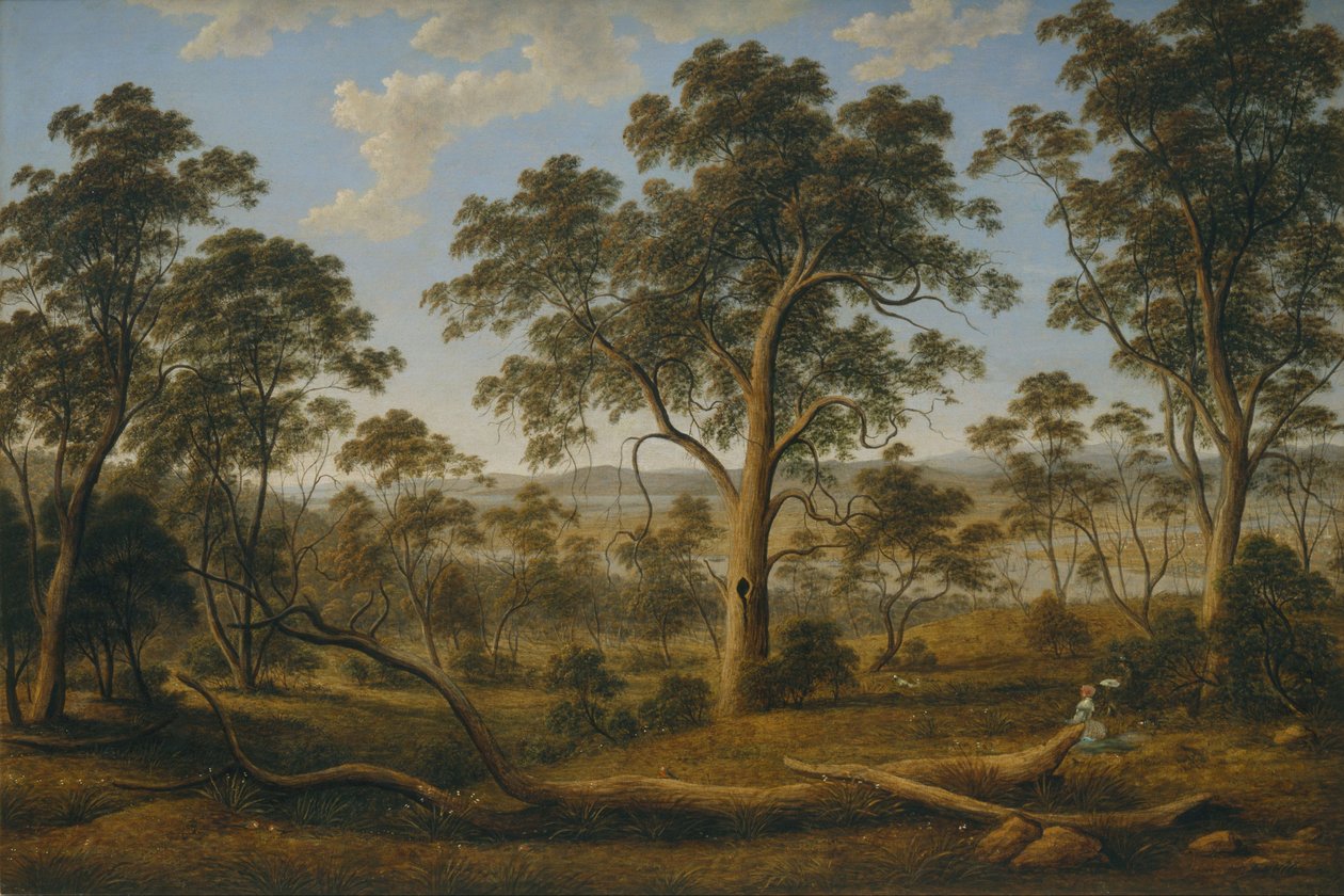 Launceston a řeka Tamar od John Glover