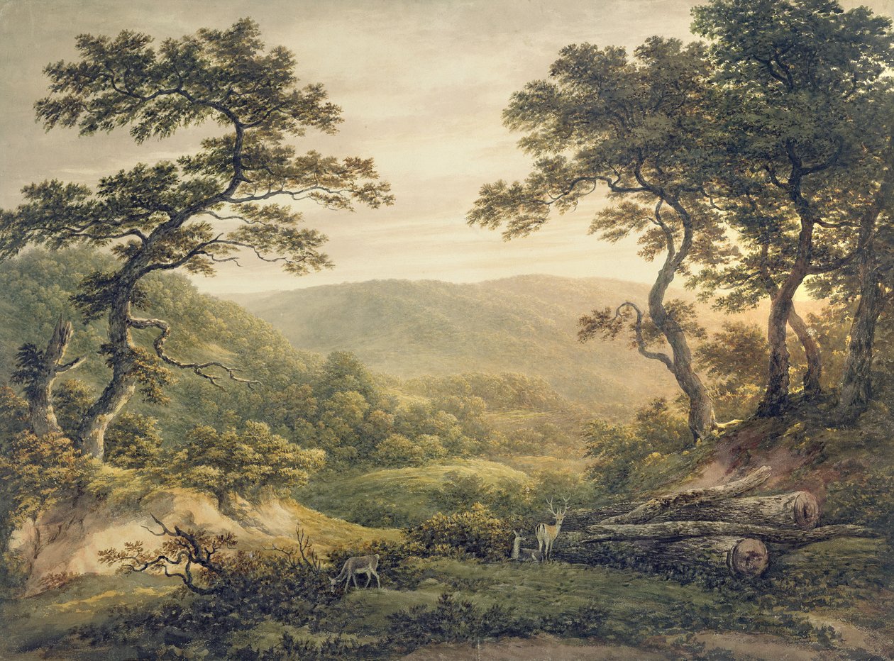 Needlewood Forest, Hampshire (akvarel na papíře) od John Glover