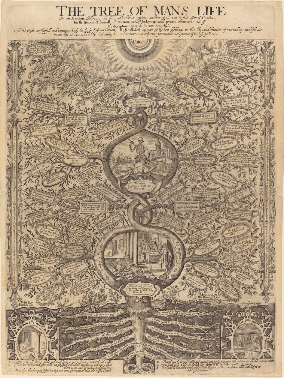 Strom lidského života od John Goddard, after Richard Dey