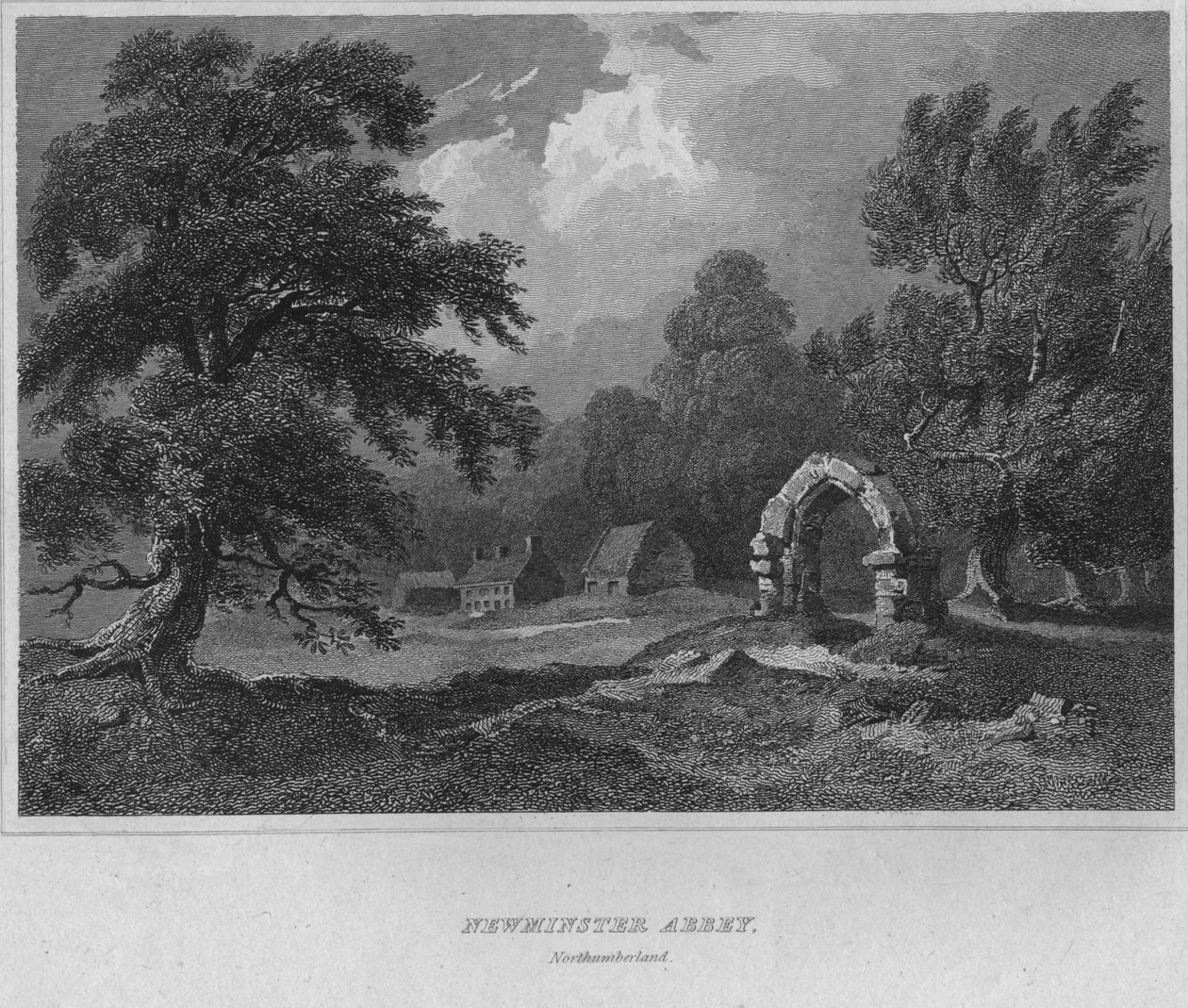 Newminsterské opatství, Northumberland, 1814 od John Greig