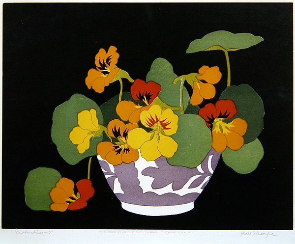 Nasturtiums (dřevořez) od John Hall Thorpe
