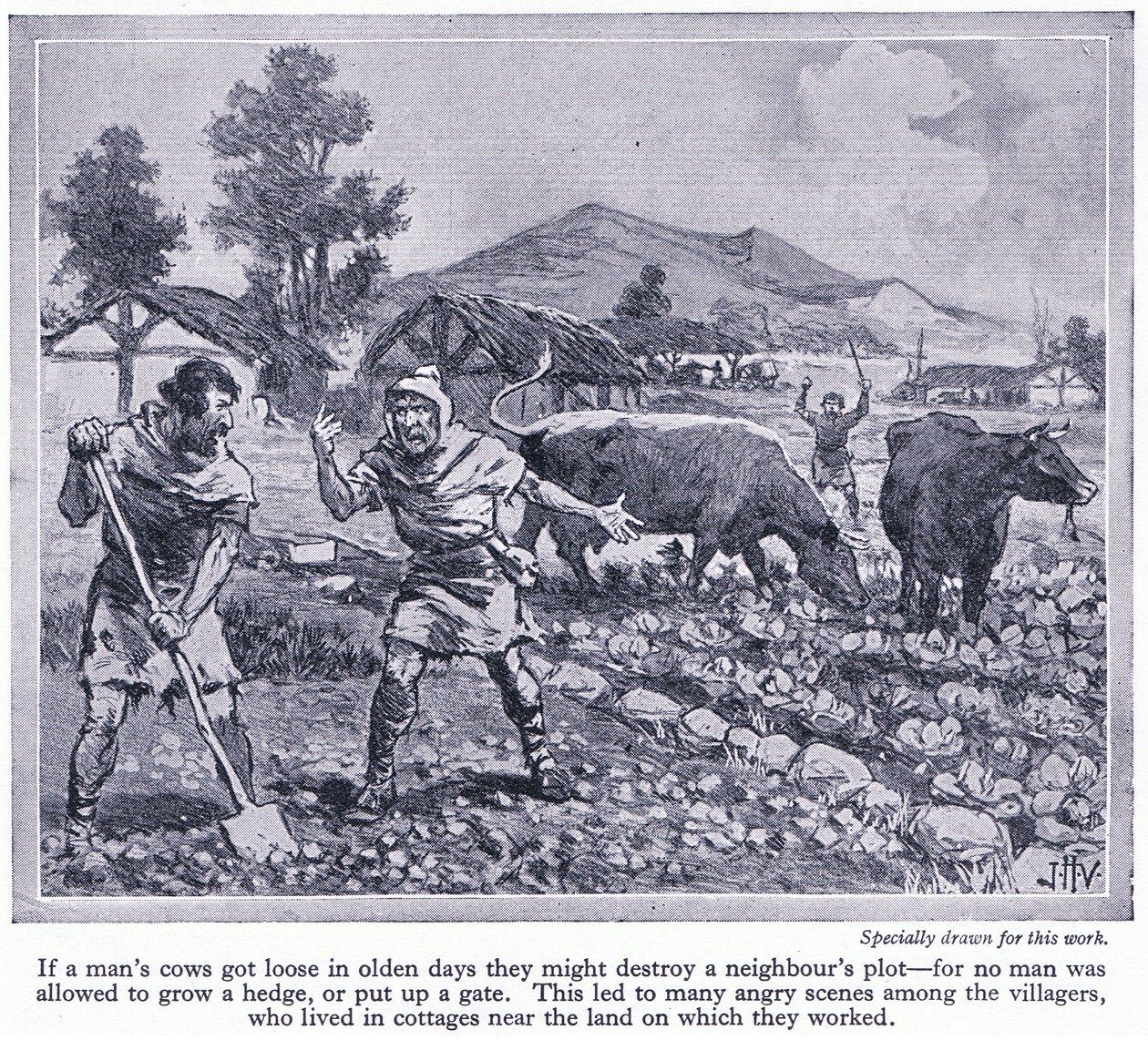 Žádný muž nesměl pěstovat živý plot nebo stavět bránu. To vedlo k mnoha hádkám mezi vesničany, kolem roku 1950 od John Harris Valda