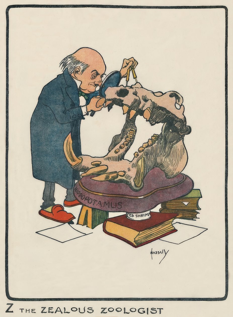 Z horlivý zoolog / J. Hassall / kresba, 1903 od John Hassall