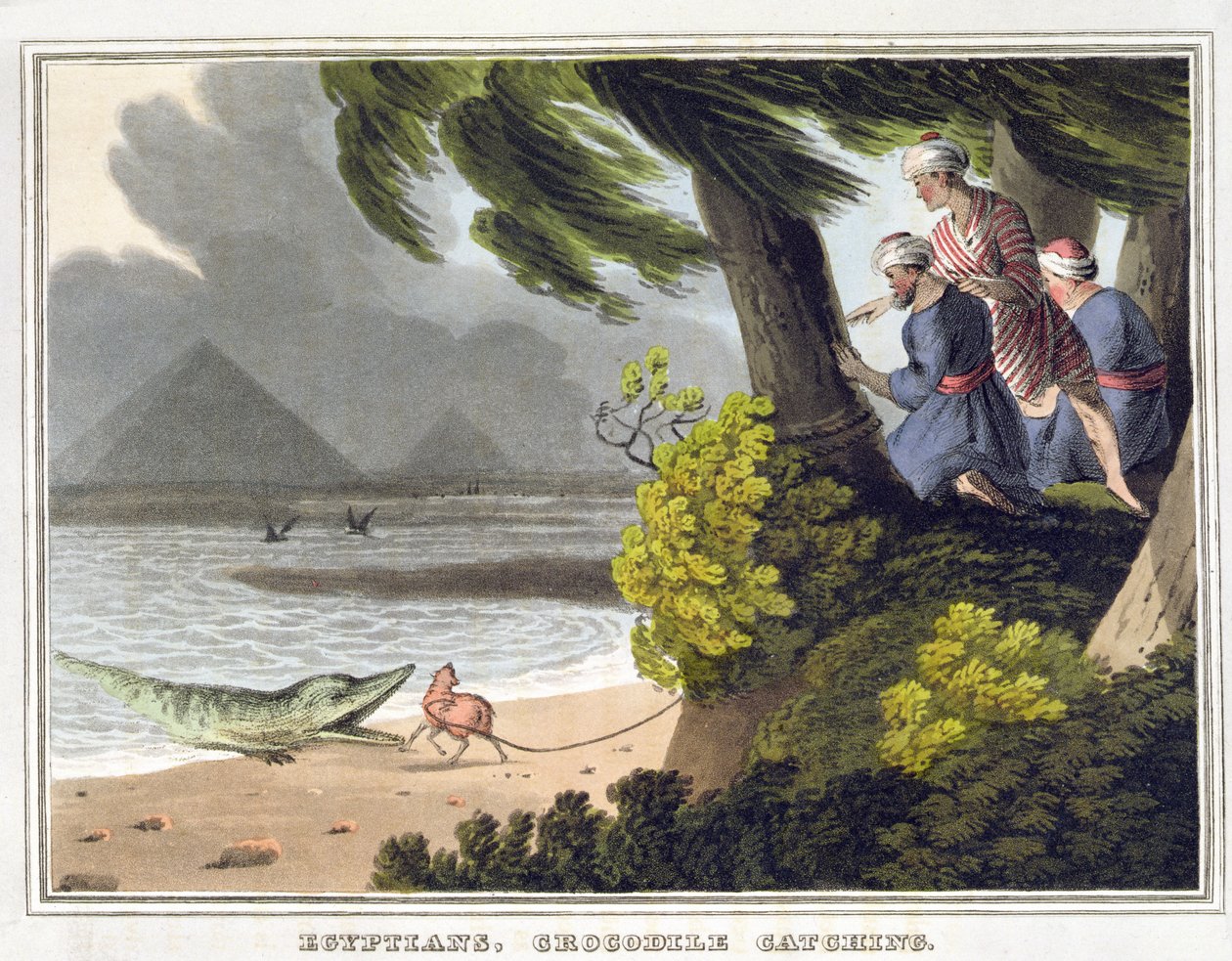 Egyptians Crocodile Catching, vyryl Matthew Dubourg (fl.1785-1820), vydal Edward Orme od John Heaviside (after) Clark
