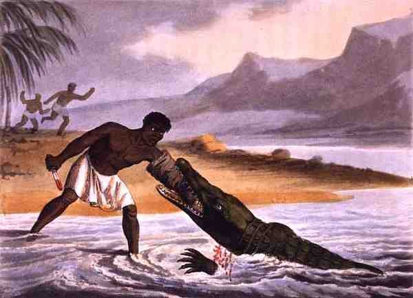 The African Crocodile Hunters, vyryl Matthew Dubourg (fl.1785-1820), vydal Edward Orme od John Heaviside (after) Clark