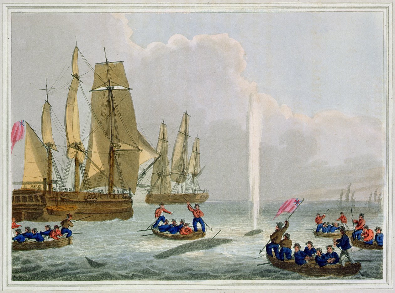 Boats Approaching a Whale, vyryl Matthew Dubourg (fl.1785-1820), vydal Edward Orme, 1813 od John Heaviside Clark