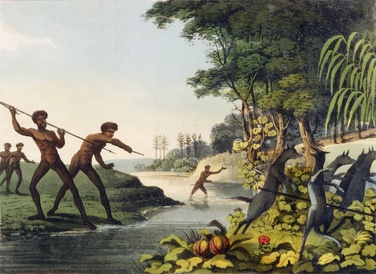 Hunting the Kangaroo, domorodci v Novém Jižním Walesu, vyrytý Matthew Dubourg (fl. 1813-1820) 1813 od John Heaviside Clark