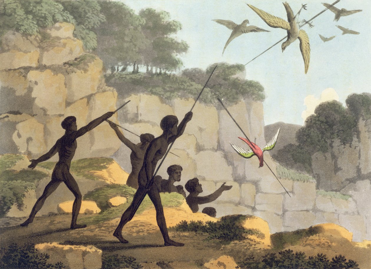 Házet oštěpem, domorodci lovící ptáky z Nového Jižního Walesu, vyryto hospodou Matthewem Dubourgem (f.1813-1820). 1813 od John Heaviside Clark
