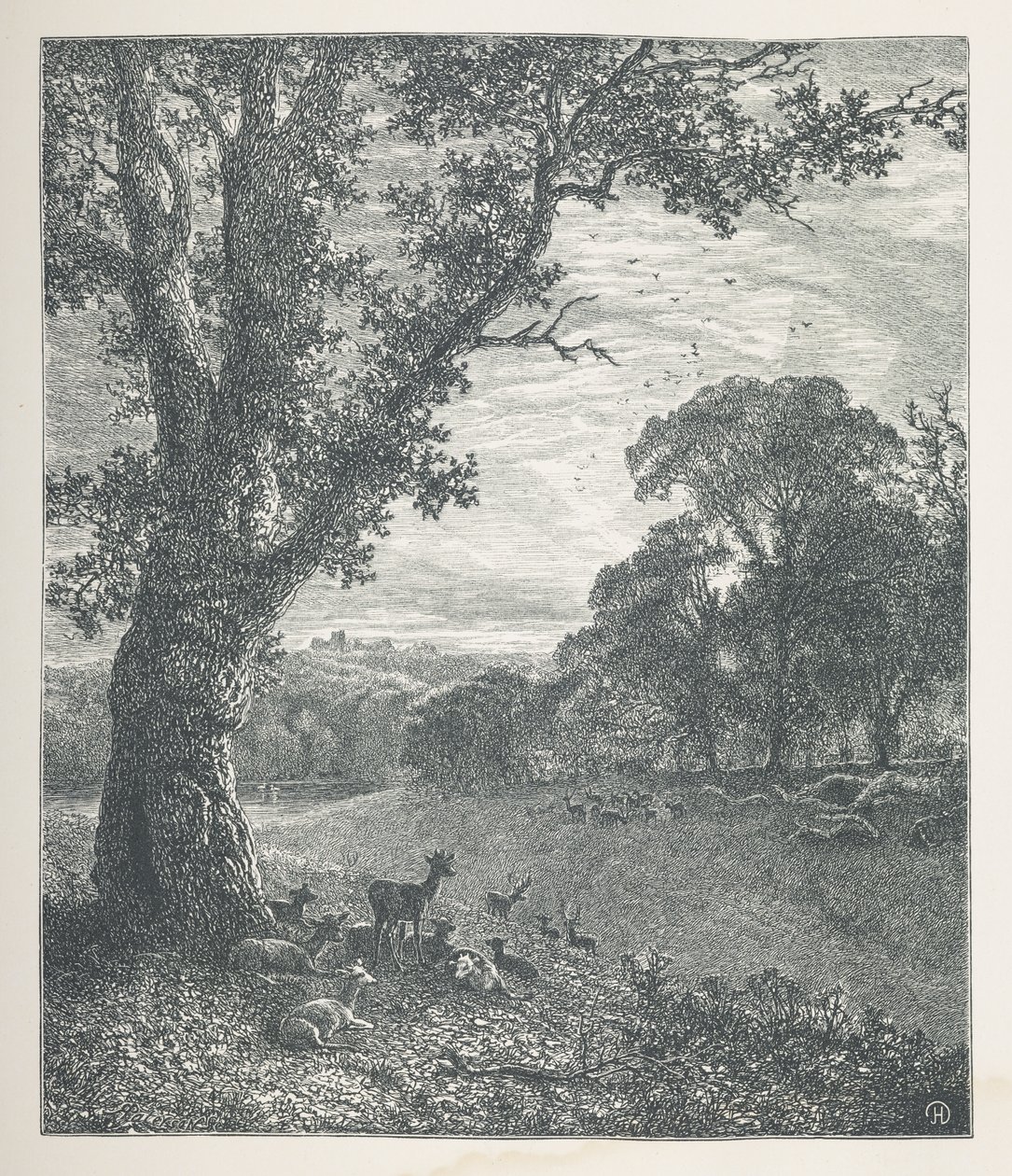 Talíř 3. Jelen kolem stromu.  Obrázky přírody. Série třiceti originálních ilustrací nakreslených na dřevě od J. H. Della a vyrytých R. Patersonem.  John Henry Dell od John Henry Dell