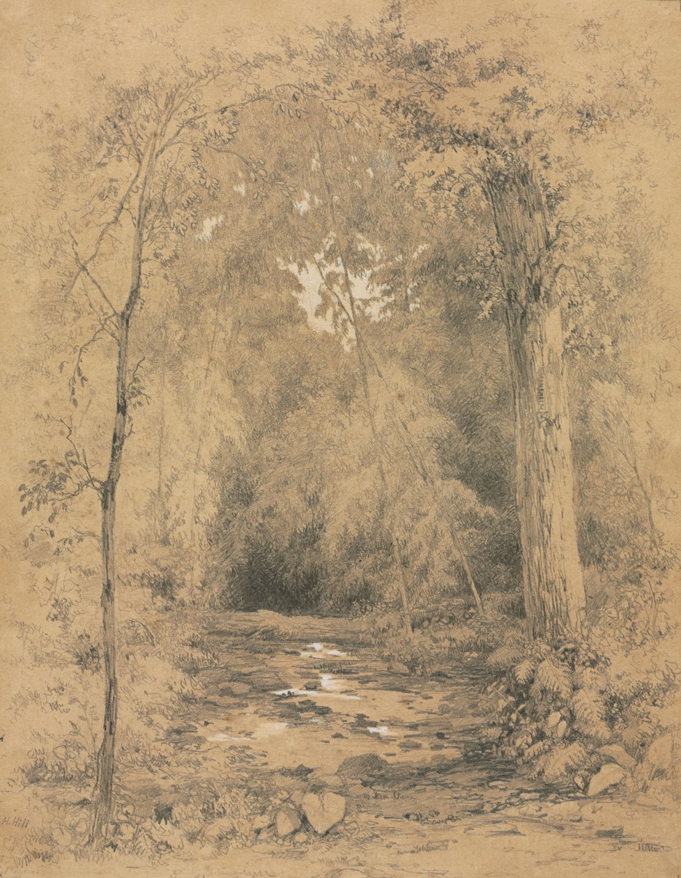 Lesní interiér, c. 1870. od John Henry Hill