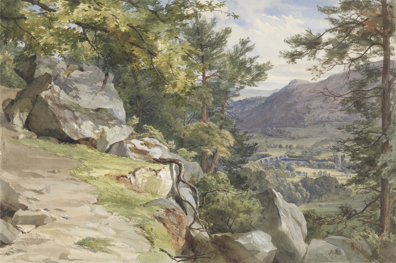 Pohled na Craig-y-Barns, Dunkeld, Looking South, 1855 (Wc a barva karoserie na papíře) od John Henry Mole