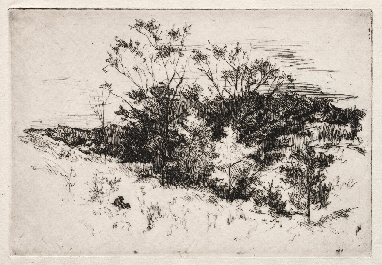 Podzimní krajina, 1879-80. od John Henry Twachtman