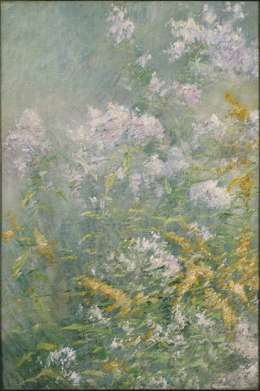 Luční květiny (zlatý prut a divoká astra) od John Henry Twachtman