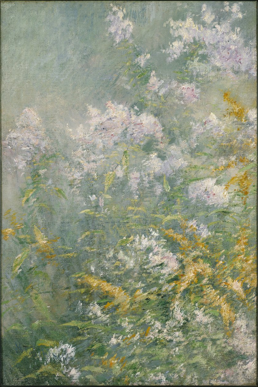 Luční květy (zlatý prut a divoká hvězdnice), kolem roku 1892 (olej na plátně) od John Henry Twachtman