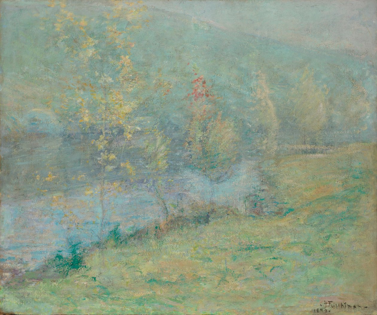 Mlhavé květnové ráno od John Henry Twachtman