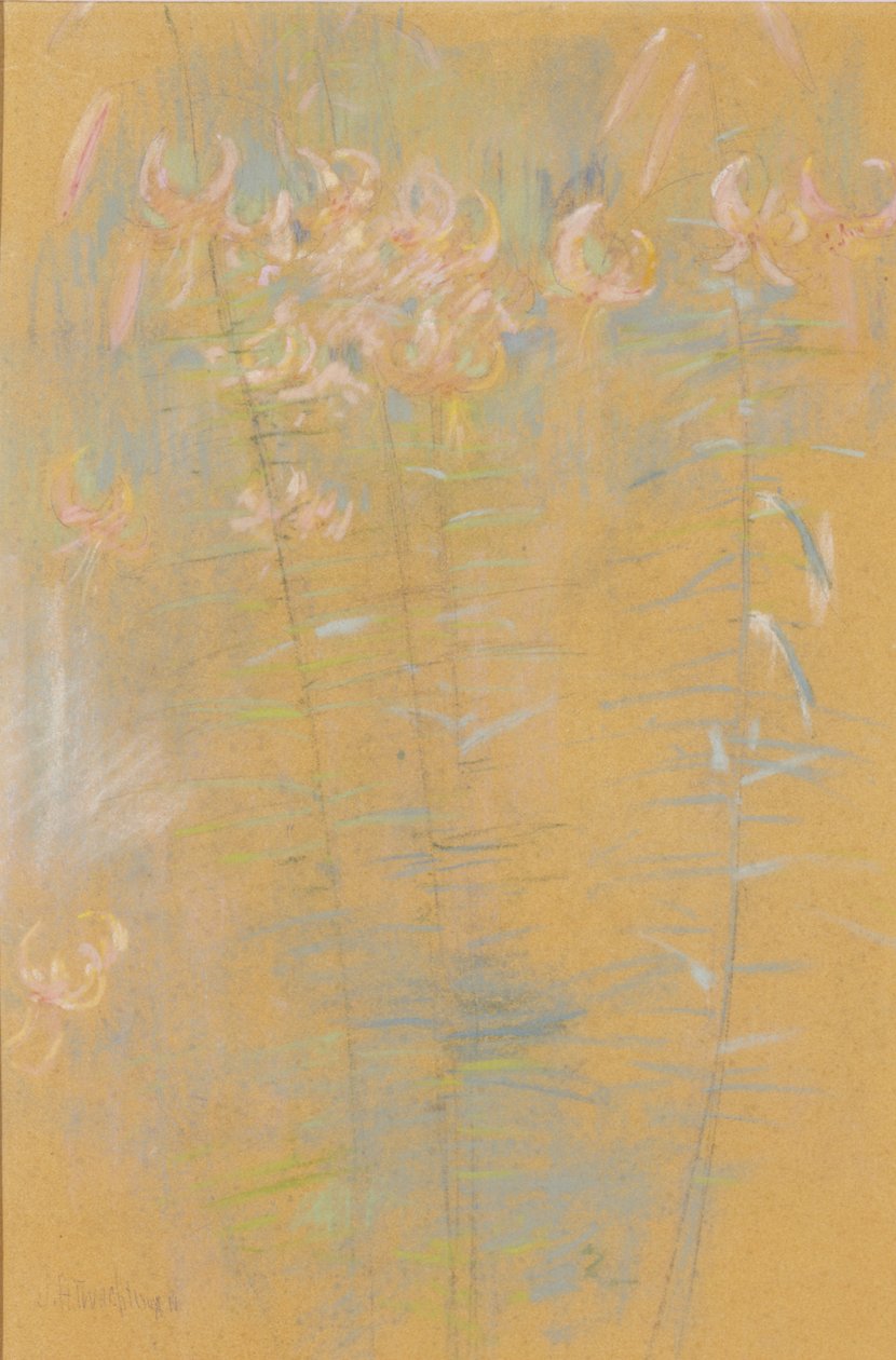 Tygří lilie od John Henry Twachtman