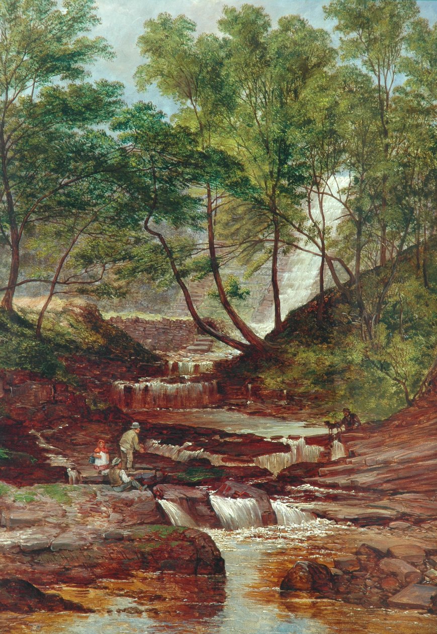 Cat Holes Dam Fall v Todmorden, 1870 od John Holland
