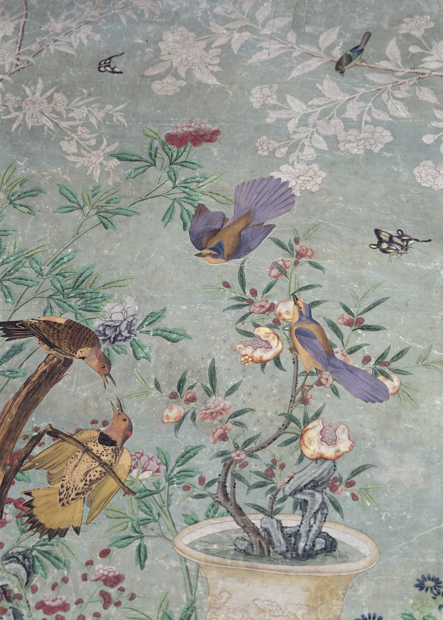 Žluté blikání, vystřižené z „The Birds of America“ a nalepené na ručně malované čínské tapety (koláž) od John James Audubon