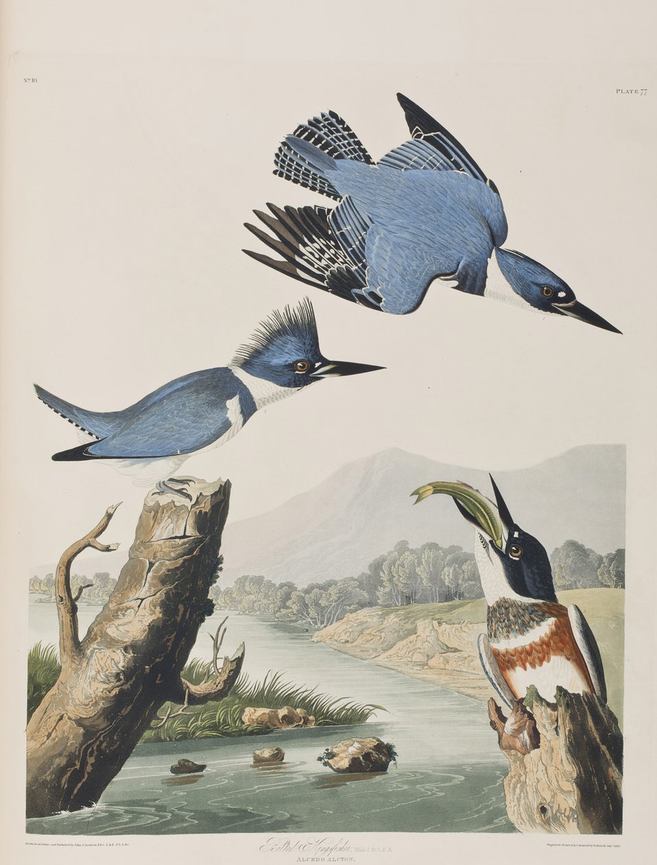 Ilustrace z 