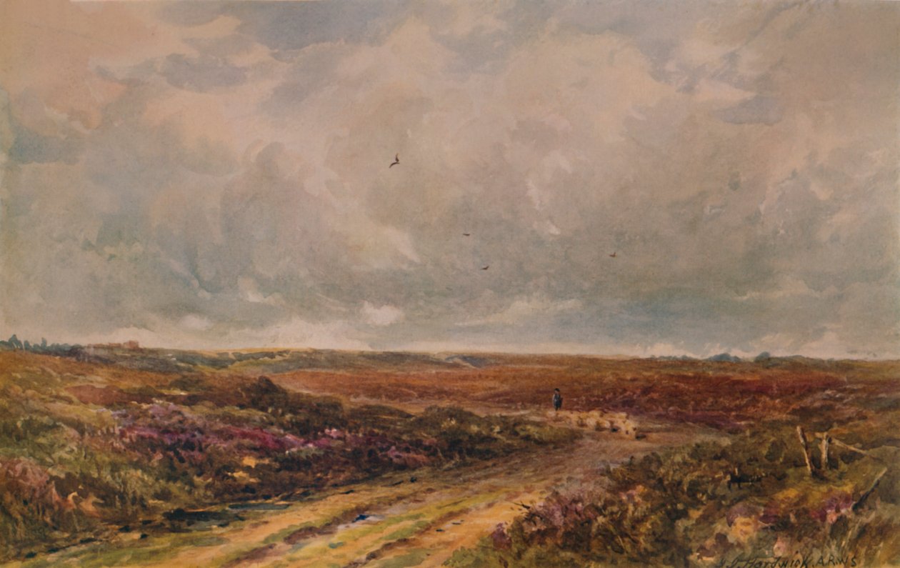 Bouřlivý den na Surrey Common, 19.–20. století, 1935 od John Jessop Hardwick