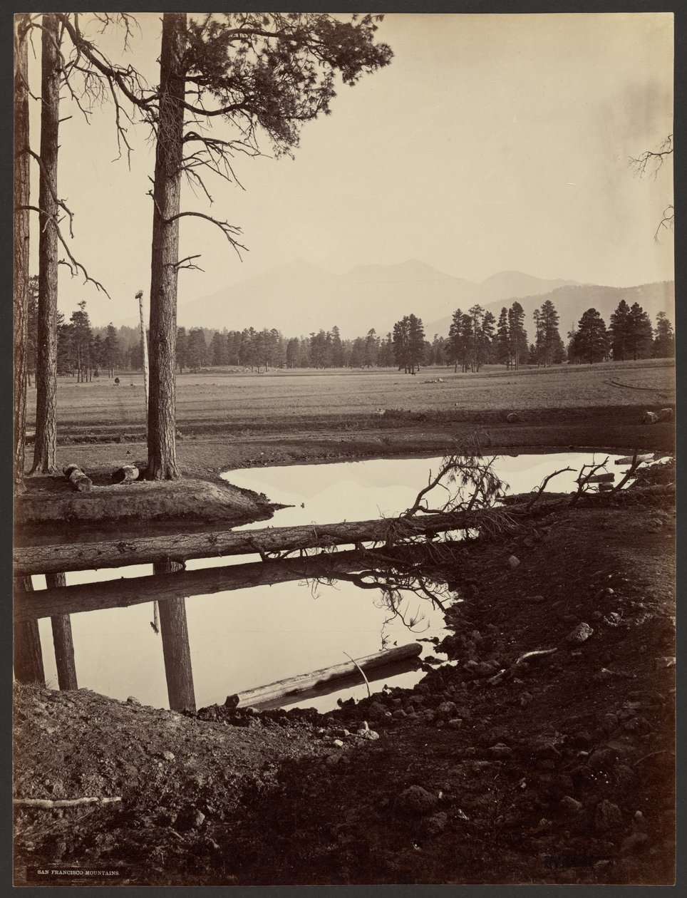 Pohoří San Francisco, Arizona od John K. Hillers