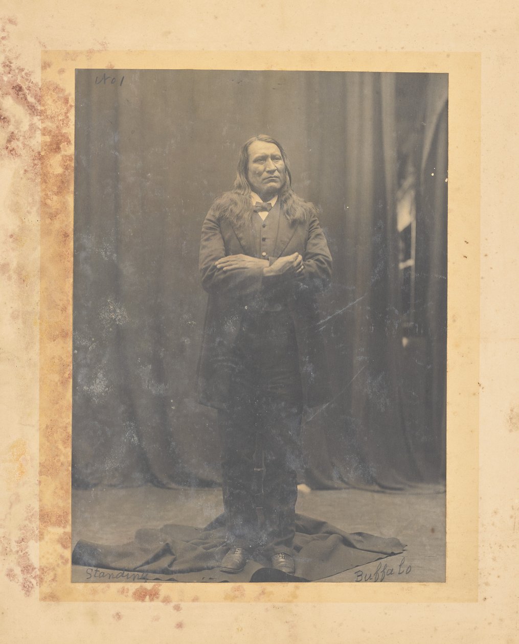 Stehender Büffel od John K. Hillers