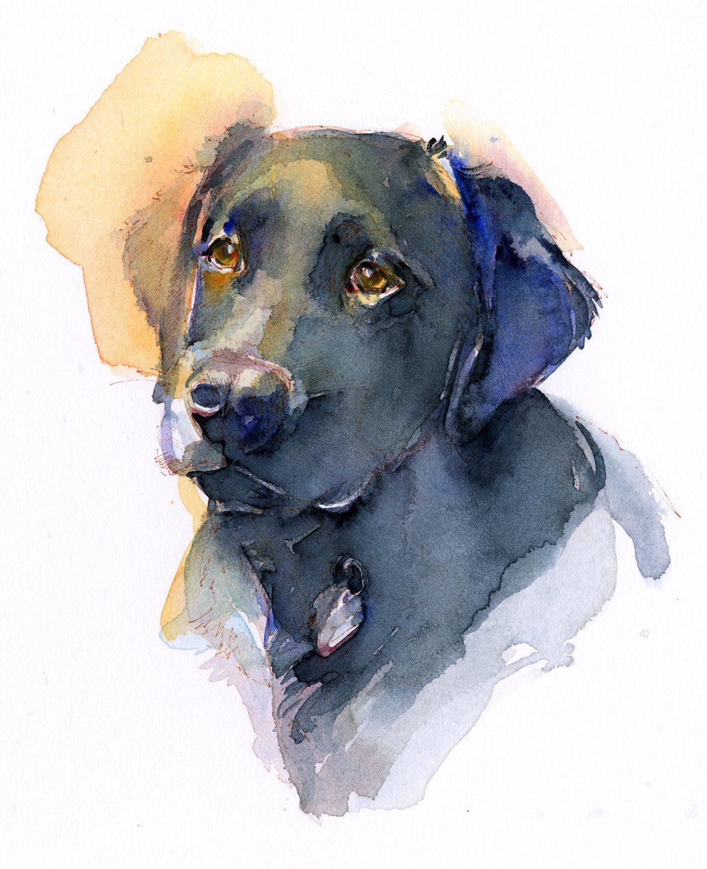 Black Lab, 2017, (akvarel) od John Keeling