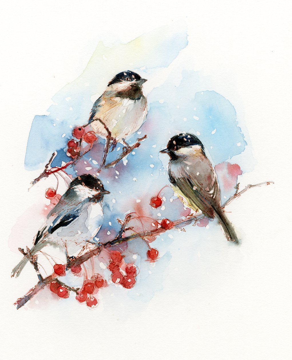 Chickadees with bobule, 2017, (akvarel) od John Keeling