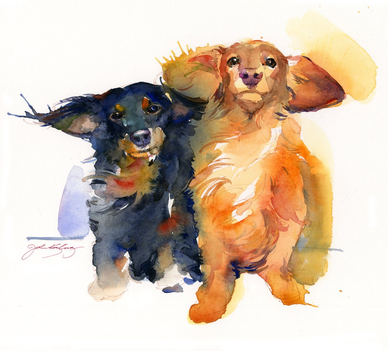 Duo jezevčíka, 2014, (akvarel) od John Keeling