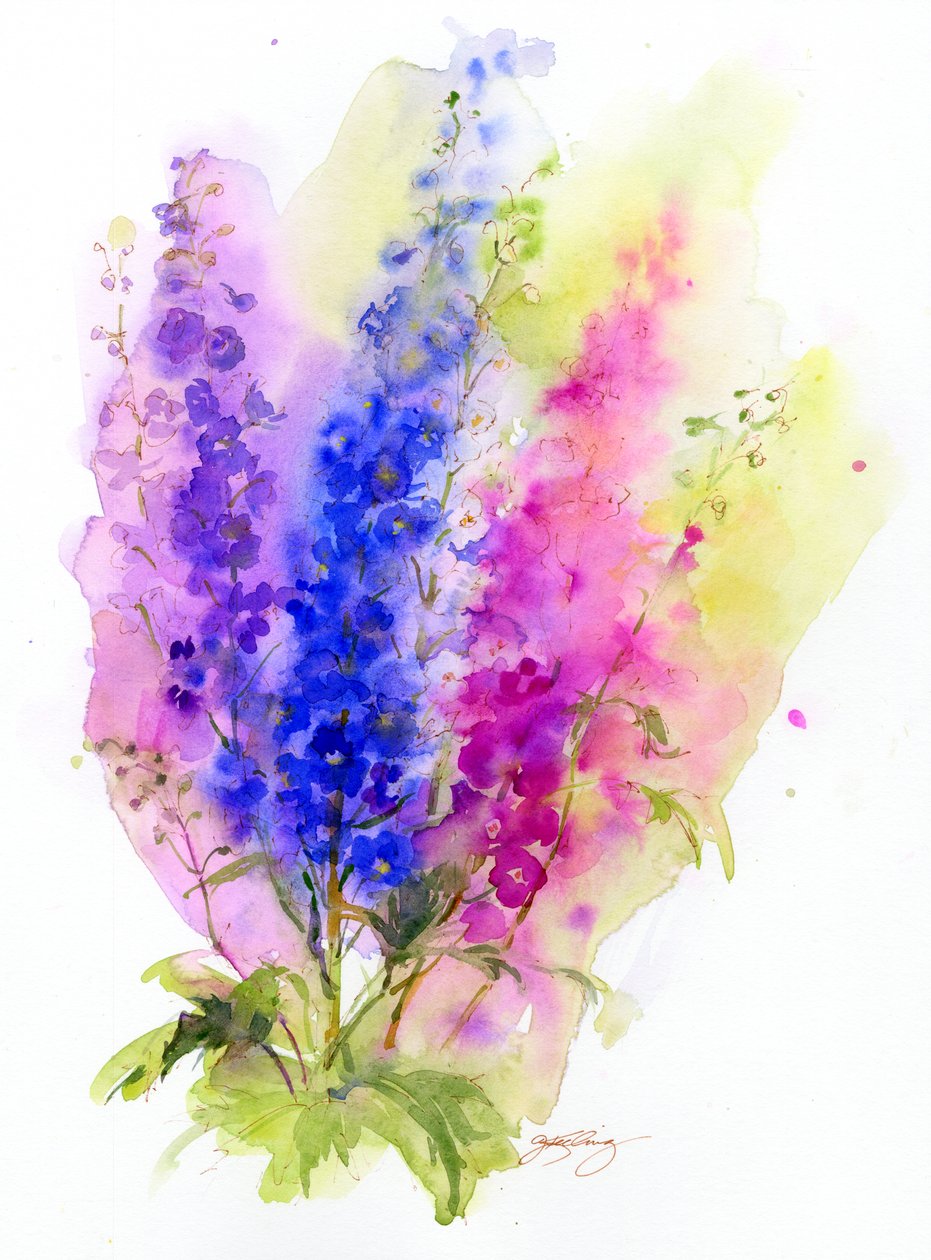 Delphinium, 2016, (akvarel) od John Keeling