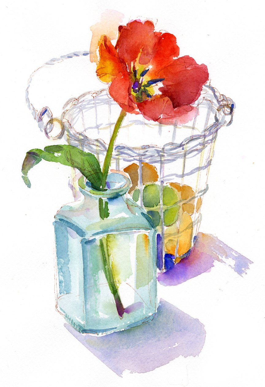 Tulipán s košíkem na vejce, 2014, (akvarel) od John Keeling