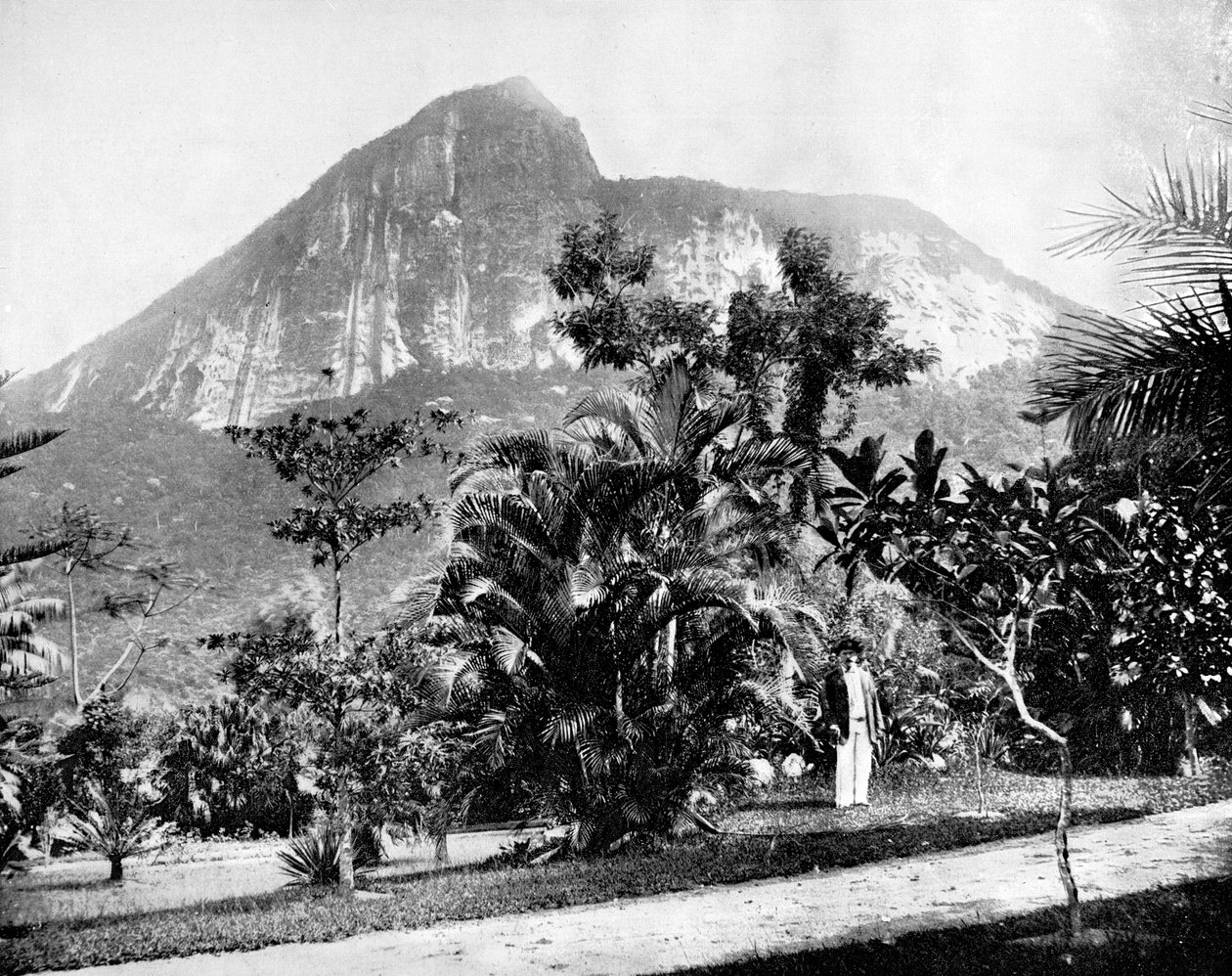 Botanická zahrada a hora Corcovado, Rio De Janeiro, Brazílie, 1893. od John L. Stoddard