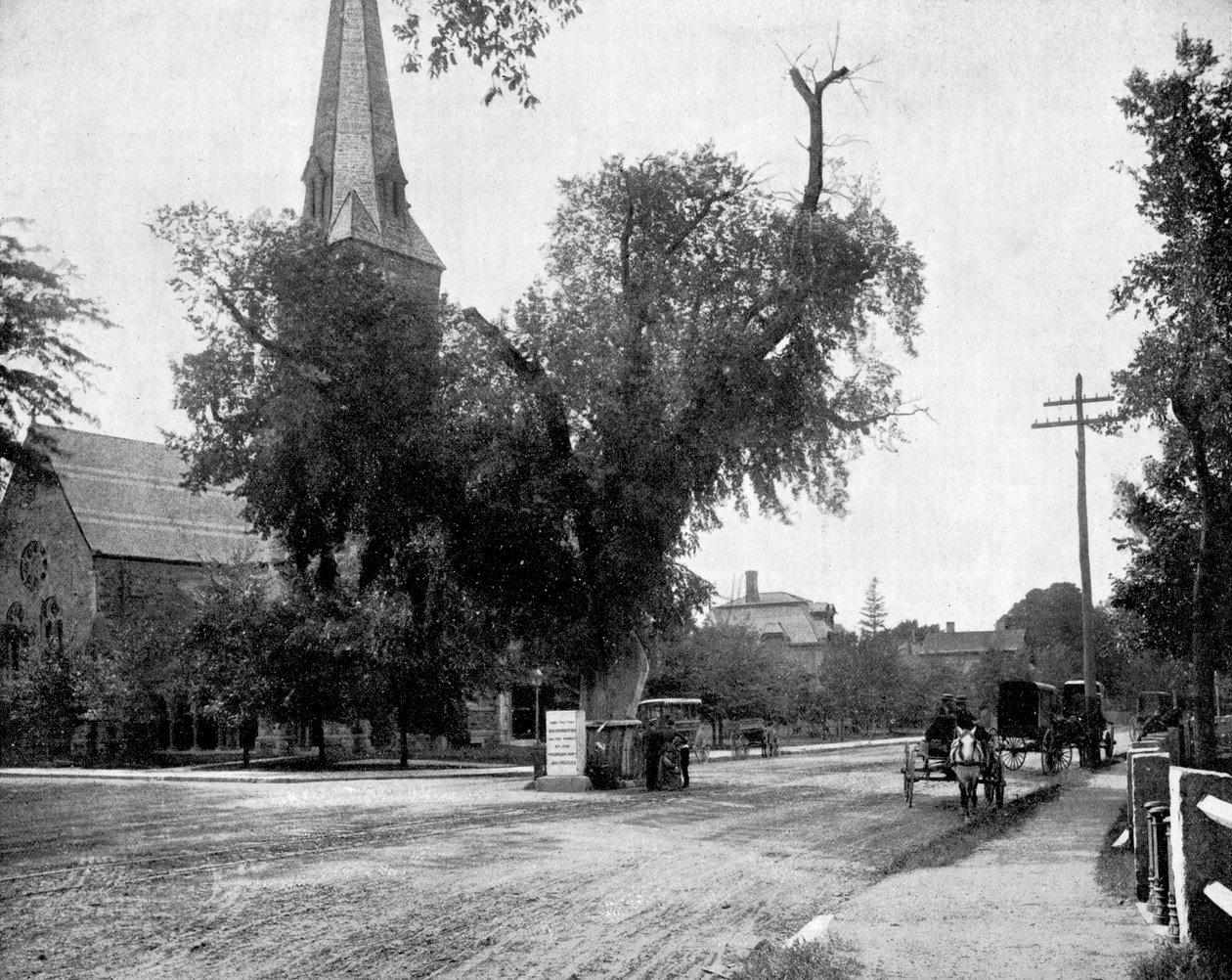 Washington Elm and Memorial Stone, Cambridge, Massachusetts, USA, 1893. od John L. Stoddard