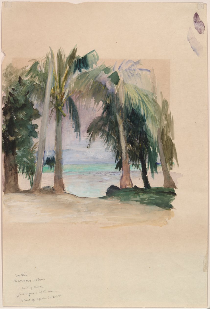 Palmy u moře od John La Farge