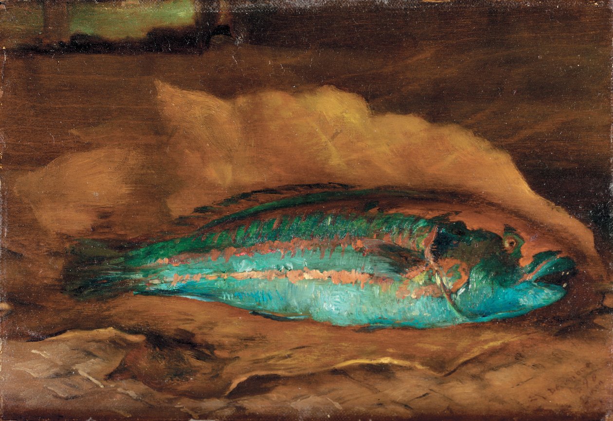 Studie papouščích ryb, Samoa, 1890 od John La Farge or Lafarge