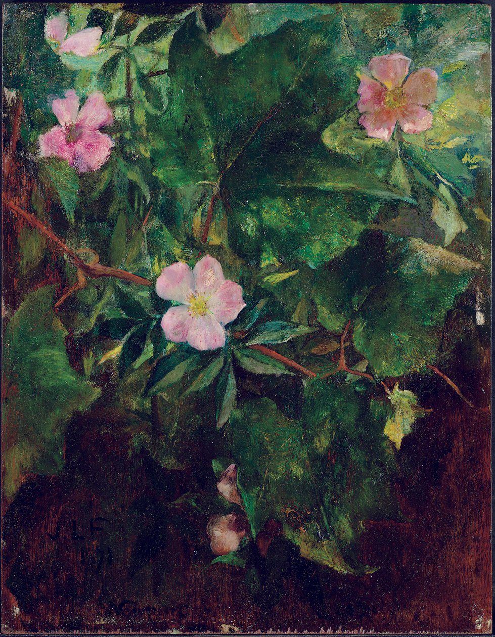 Divoká růže a vinná réva, Studie z přírody, 1871 od John La Farge or Lafarge