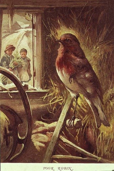 Chudák Robin, ilustrace z 
