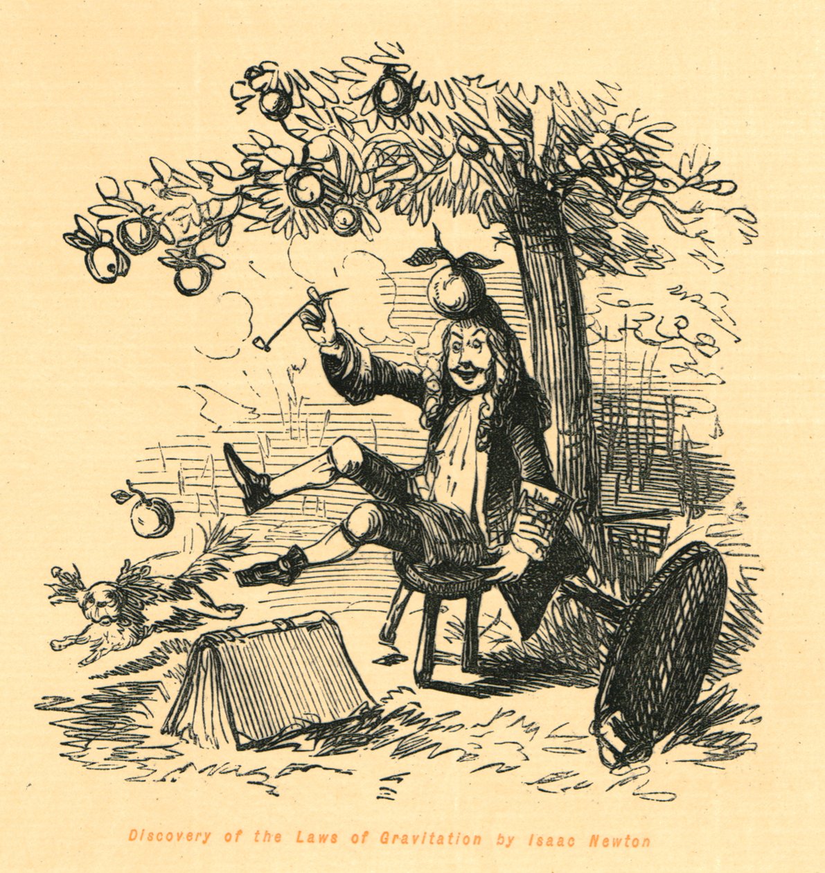 Objev zákonů gravitace od Isaaca Newtona, 1897. od John Leech