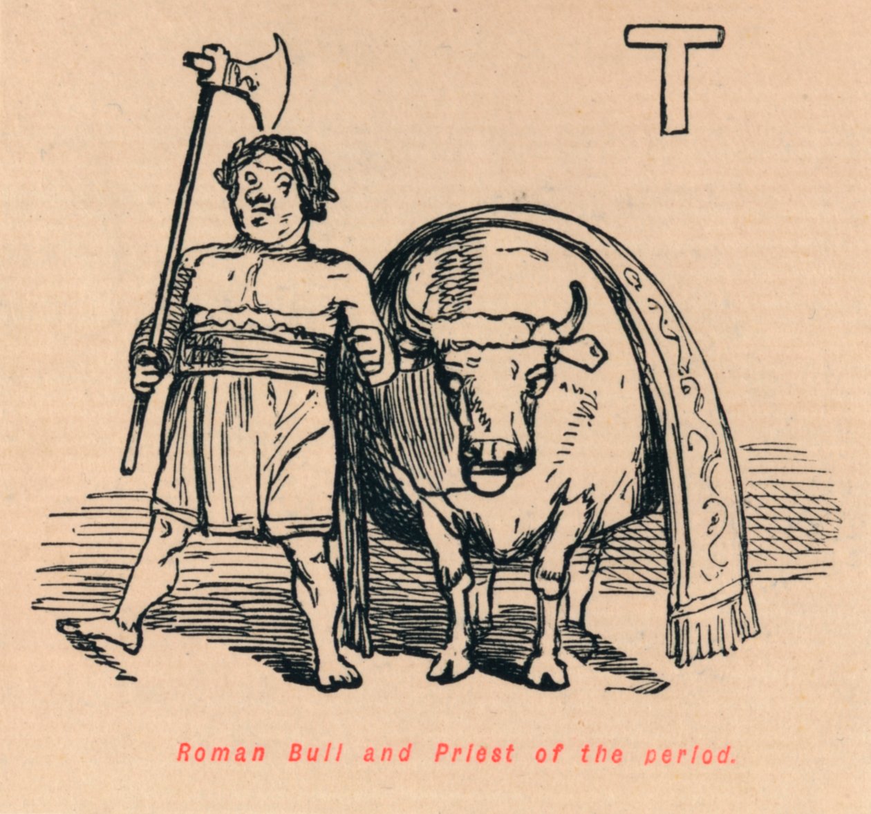 Římský býk a kněz doby, 1852 od John Leech