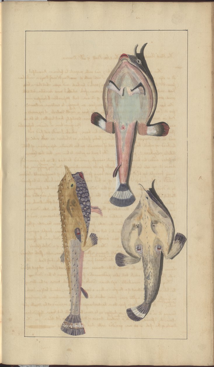 Lindsay Drawings Vol. VII, 27 od John Lindsay