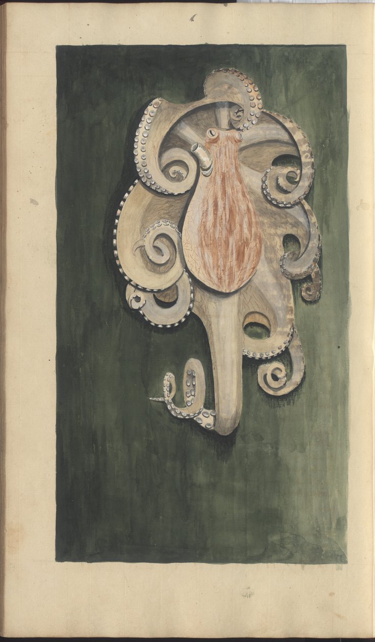 Lindsay Drawings Vol. VII, 28 od John Lindsay