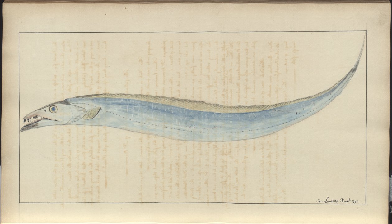 Lindsay Drawings Vol. VII, 9 od John Lindsay