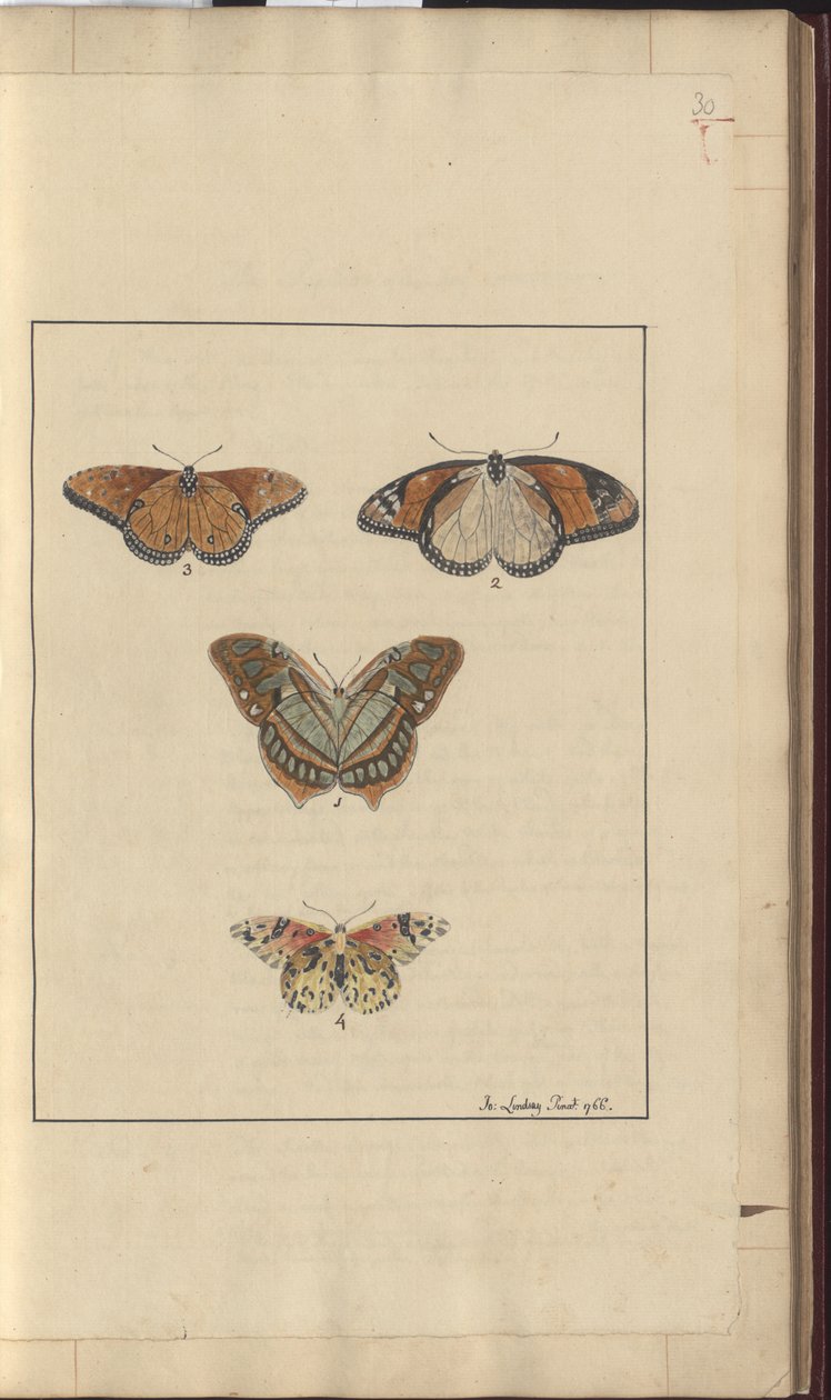 Lindsay Drawings Vol. VI, 30 od John Lindsay