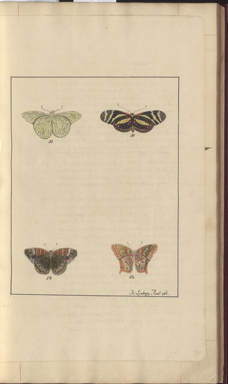 Lindsay Drawings Vol. VI, 36 od John Lindsay