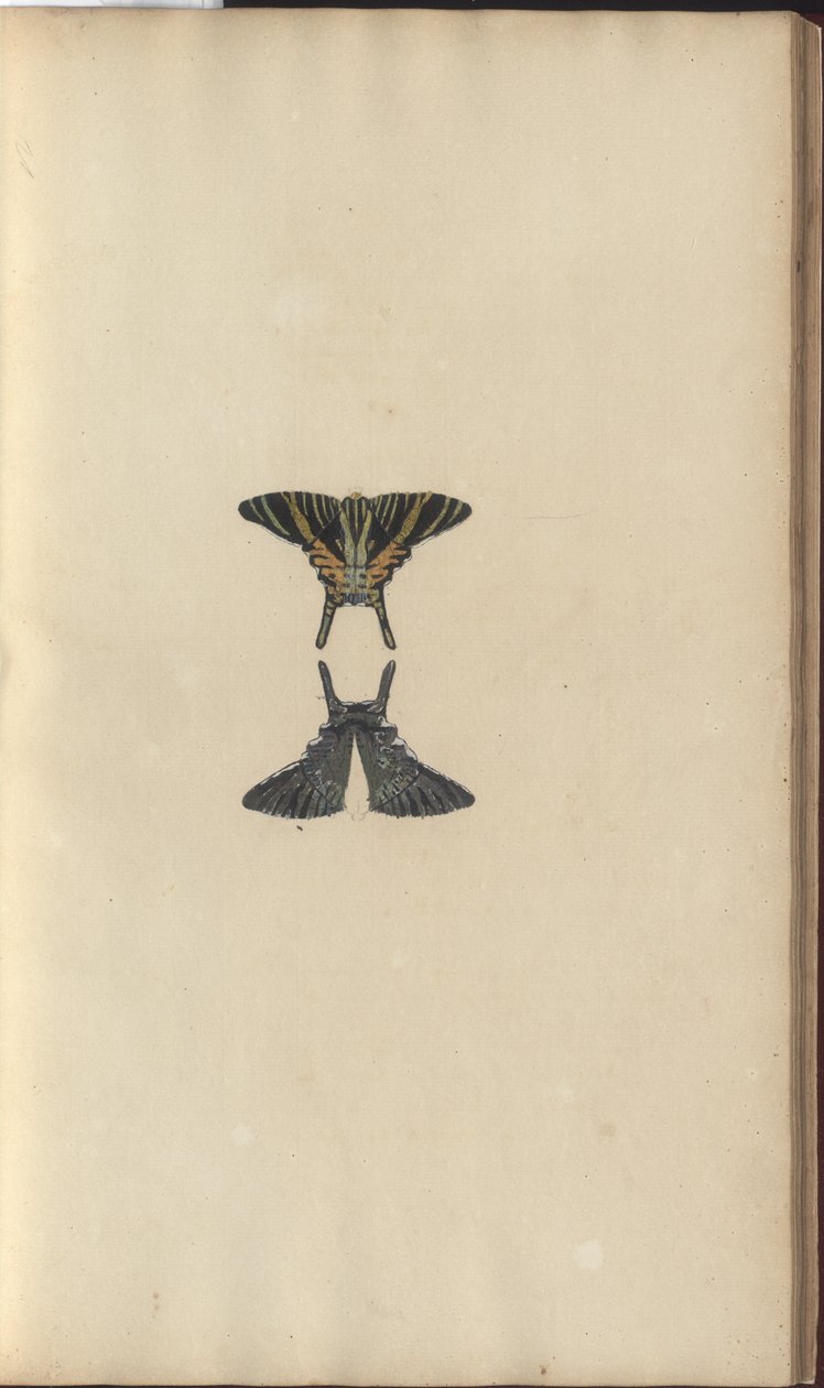 Lindsay Drawings Vol. VI, 48 od John Lindsay